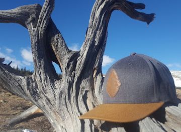 colorado/breckenridge/landmark/limber-grove