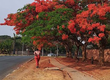zambia/lusaka/kabulonga/landmark/kabulonga-roundabout