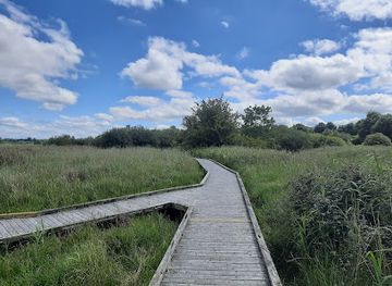 ireland/county-kildare/landmark/pollardstown-fen