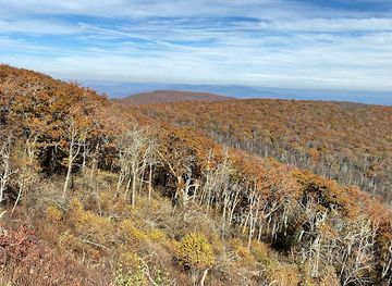 virginia/blue-ridge-highlands/landmark/apple-orchard-mountain