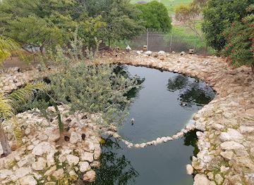 cyprus/troodos-national-forest-park/landmark/melios