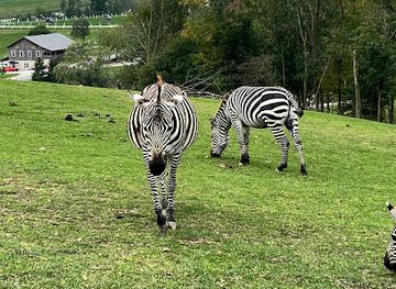 ohio/amish-country/landmark/the-farm-at-walnut-creek