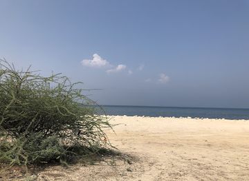 united-arab-emirates/dibba-al-fujairah/landmark/al-akamiyah-beach