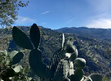 Tizi ouzou Algérie