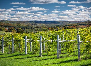 michigan/petoskey/landmark/petoskey-farms-vineyard-winery-coffeehouse