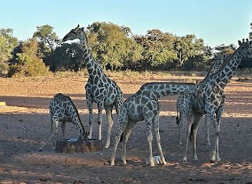 namibia/etosha-national-park/landmark/waterberg-plateau-national-park