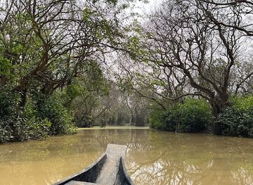 bangladesh/ratargul-swamp-forest/landmark/rathargul-swamp-forest