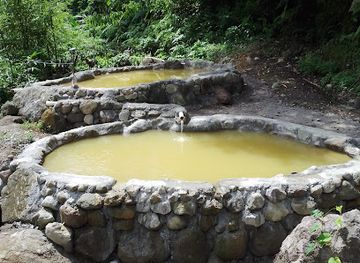 dominica/saint-david/landmark/natty-tropical-valley