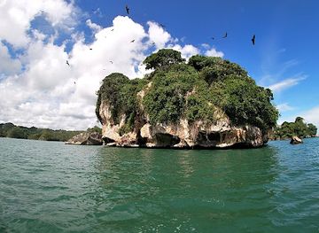 dominican-republic/las-terrenas/landmark/flora-tours-excursions-nature-las-terrenas