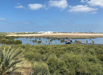 united-arab-emirates/liwa-oasis/landmark/glimpses-of-the-uae