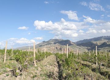 armenia/areni-wine-region/landmark/arewine