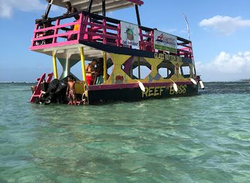 trinidad-and-tobago/buccoo-reef/landmark/nylon-pool
