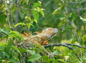 nicaragua/san-juan-river-basin/landmark/san-juan-de-nicaragua