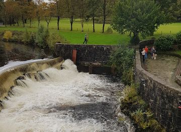 united-kingdom/wales/landmark/the-magic-of-life-butterfly-house