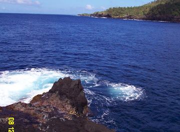 american-samoa/manu-a-islands/landmark/turtle-and-shark