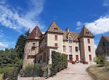 france/burgundy-vineyards/landmark/chateau-de-couches