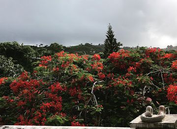 grenada/seven-sisters-falls/landmark/the-tower-estate