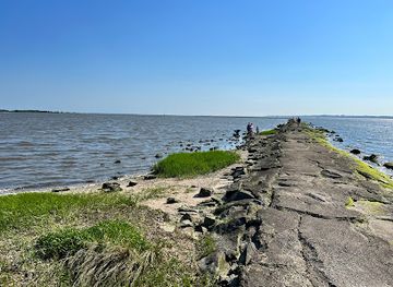 north-carolina/cape-fear/landmark/the-rocks-at-fort-fisher