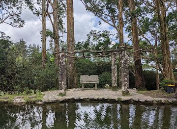 panama/el-valle-de-anton/landmark/square-trees-nature-trail-arboles-cuadrados