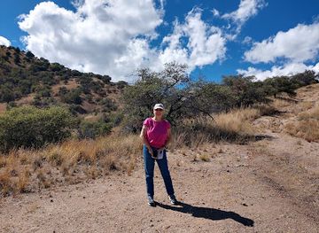 arizona/cochise-county/landmark/brown-parade-field