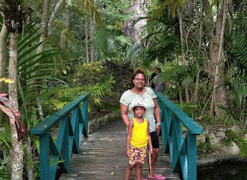 the-bahamas/grand-bahama/landmark/garden-of-the-groves