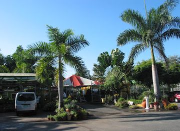 jamaica/liguanea-plains/landmark/shields-and-shields-flowers-jamaica-islandwide-delivery