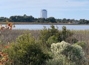 alabama/alabama-coastal-birding-trail/landmark/hugh-s-branyon-backcountry-trail-rosemary-dunes-trailhead