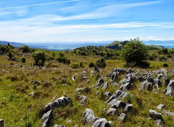 new-zealand/tasman/landmark/ngarua-caves