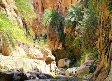 jordan/mujib-nature-reserve/landmark/wadi-bin-hammad