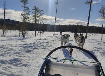 finland/riisitunturi-national-park/landmark/kota-husky