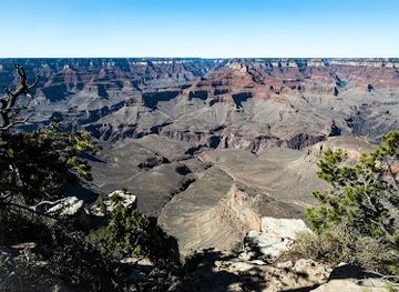 arizona/kaibab-national-forest/landmark/yaki-point