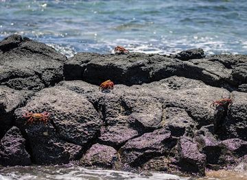 ecuador/galapagos-islands/landmark/playa-las-bachas