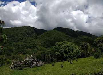 saint-kitts-and-nevis/nevis-peak/landmark/central-forest-reserve-national-park