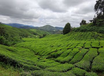 malaysia/cameron-highlands/landmark/robertson-rose-garden