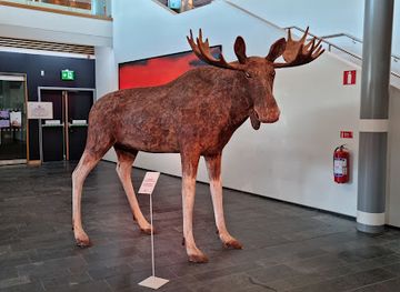 sweden/lulea/landmark/lulea-turistcenter