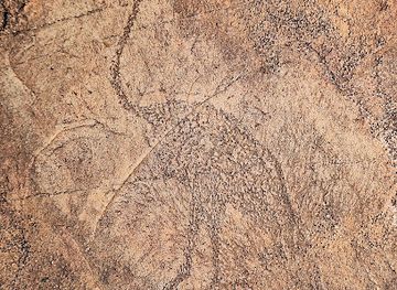 south-africa/north-west/landmark/bosworth-stud