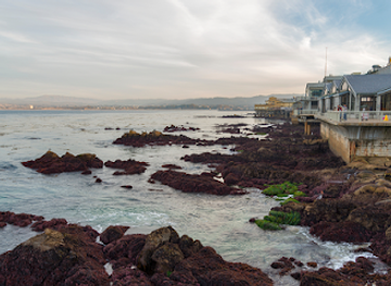 california/central-coast/landmark/monterey-bay-aquarium
