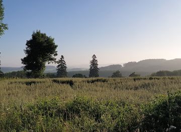 luxembourg/moselle-valley/landmark/kneiff