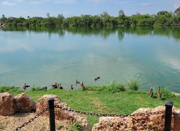 texas/rio-grande-valley/landmark/edinburg-scenic-wetlands-world-birding-center