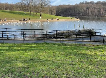 united-kingdom/leeds/roundhay/landmark/roundhay-park-geology-trail-10