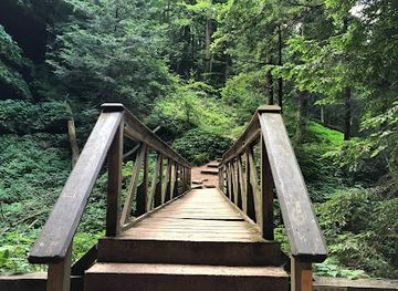 ohio/wayne-national-forest/landmark/rock-house