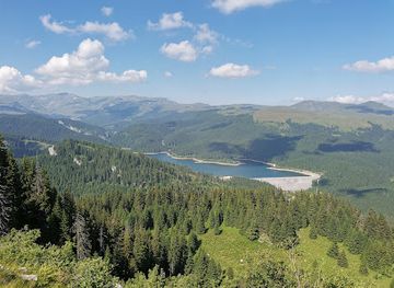 romania/dambovita/landmark/podu-cu-florile