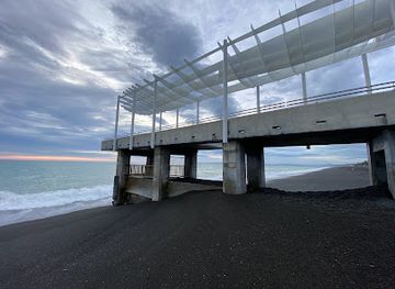new-zealand/hawke-s-bay/landmark/the-gold-of-the-kowhai