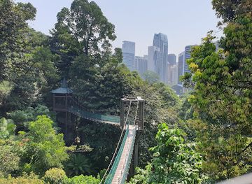 malaysia/kuala-lumpur/landmark/bukit-nanas-forest-reserve