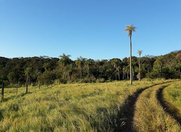 paraguay/cordillera-hills/landmark/playa-de-aregua