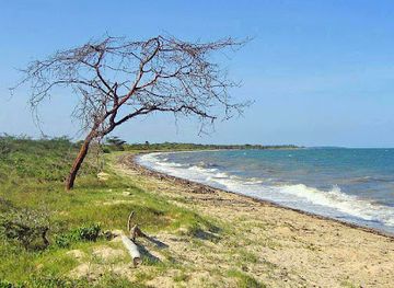 tanzania/mahale-mountains/landmark/saadani-national-park