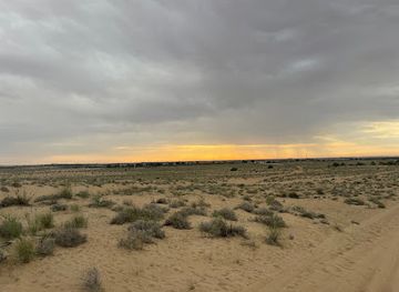 united-arab-emirates/dubai-desert-conservation-reserve/landmark/al-qudra-lake-camping