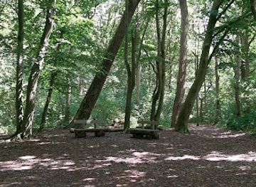 belgium/de-haan/landmark/gabelung-vossenhol