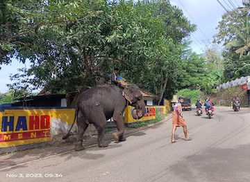 india/varkala/landmark/hairpin-curve-varkala