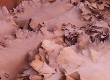 morocco/marrakech-region/landmark/local-guide-marrkaech